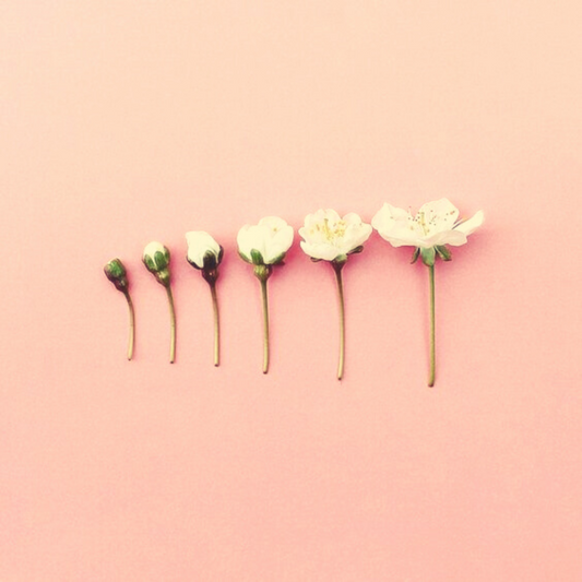 3 Manifestation Tips | 2 min read